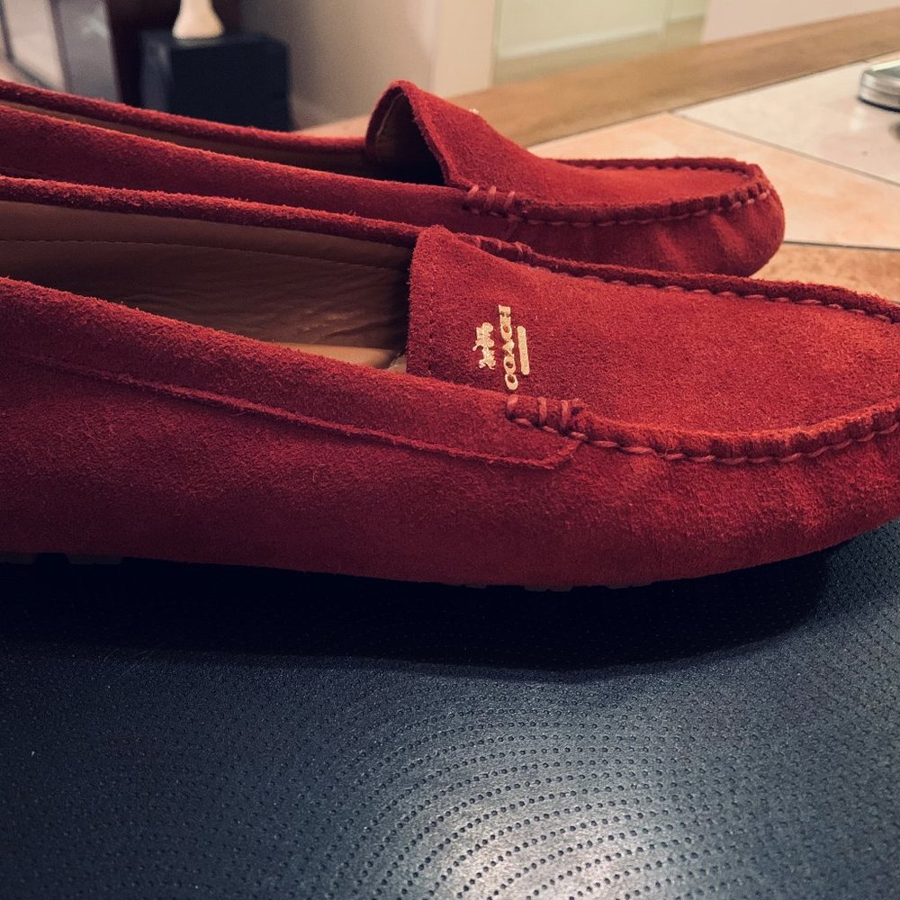 shoes, new shoes, casual loafer